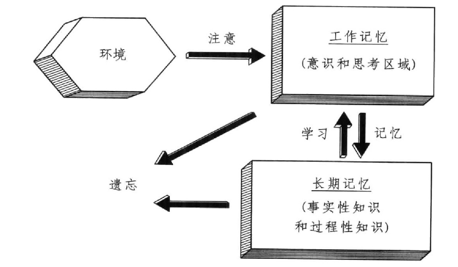 book-why-dont-students-like-school-flow